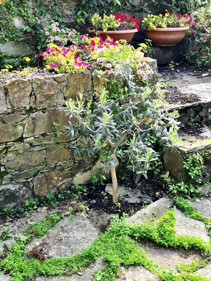Lovely House Holiday home Santa Margherita Ligure